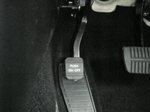 20080620-13.JPG