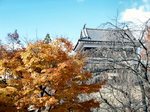 20081122-04.JPG